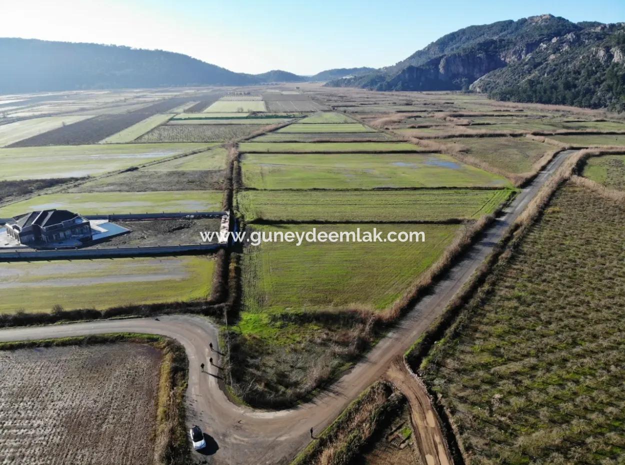 Fields Suitable For Cooperative In Ortaca Güzelyurt Are For Sale