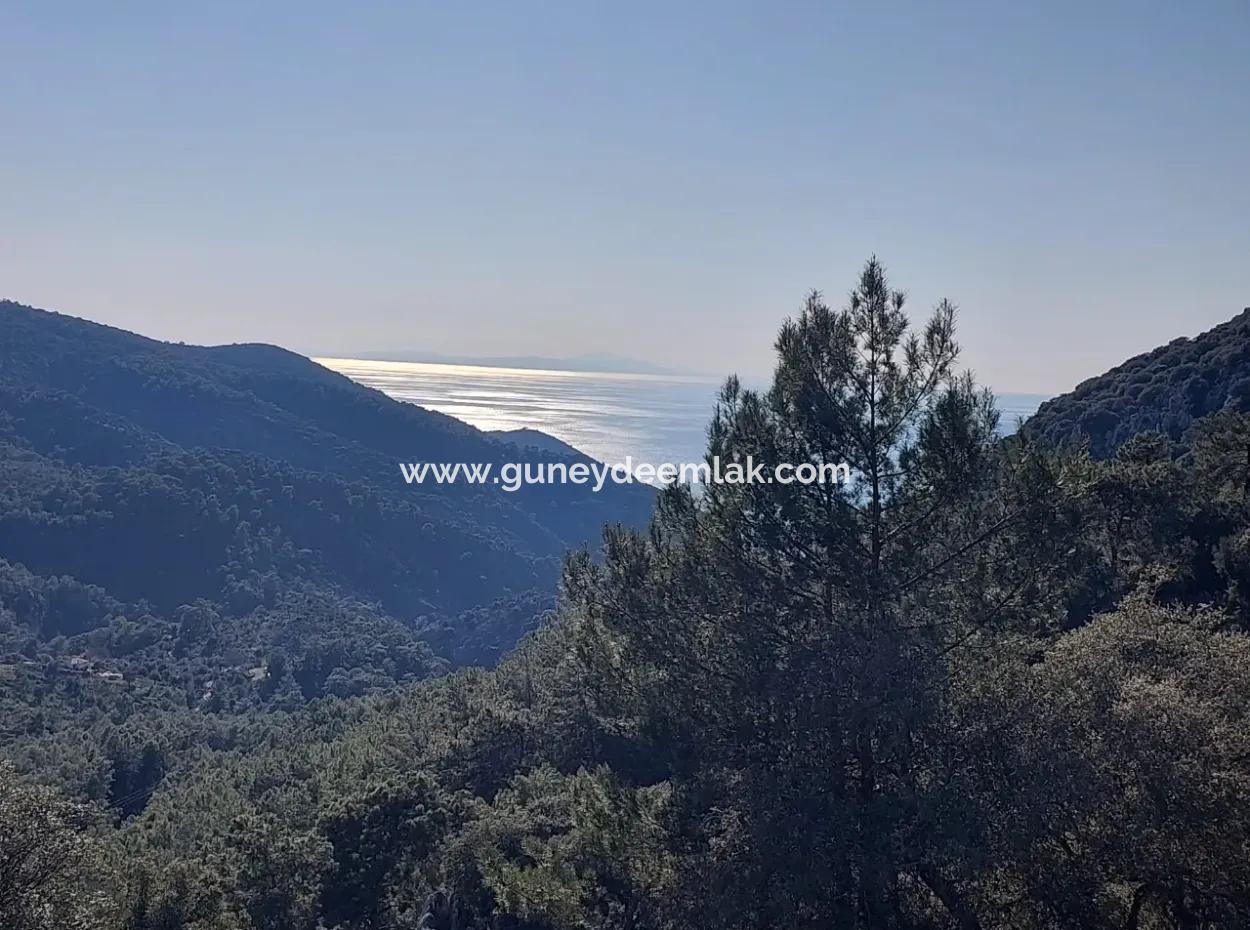 28.350 M2 Land For Sale In Ortaca Gökbelde With Detached Title Deed Sea View