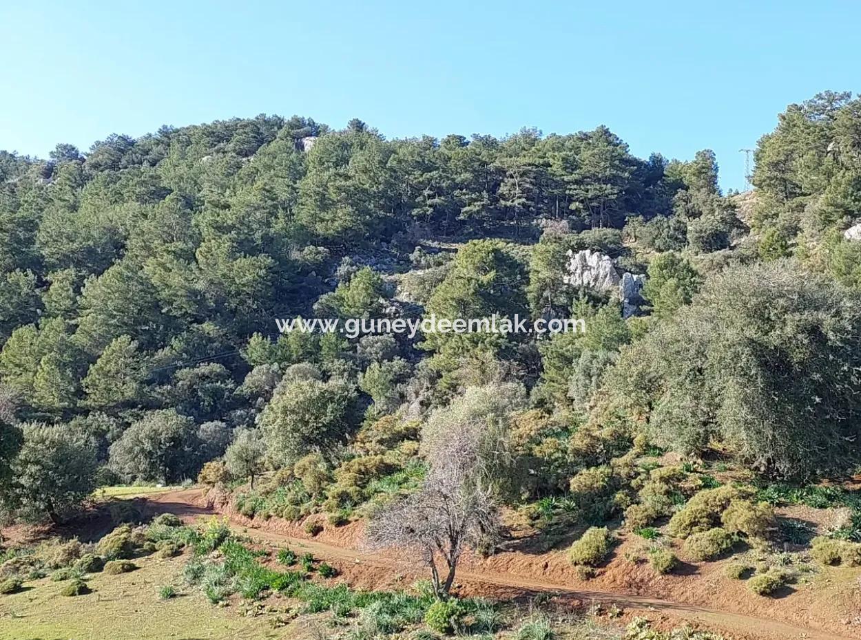 28.350 M2 Land For Sale In Ortaca Gökbelde With Detached Title Deed Sea View