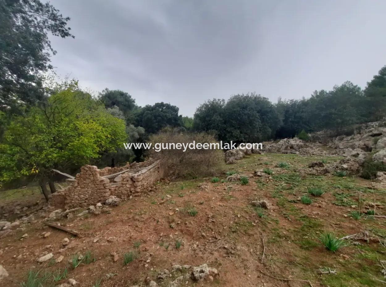 24.000 M2 Detached Land For Sale In Muğla Dalyan Gökbelde Nature