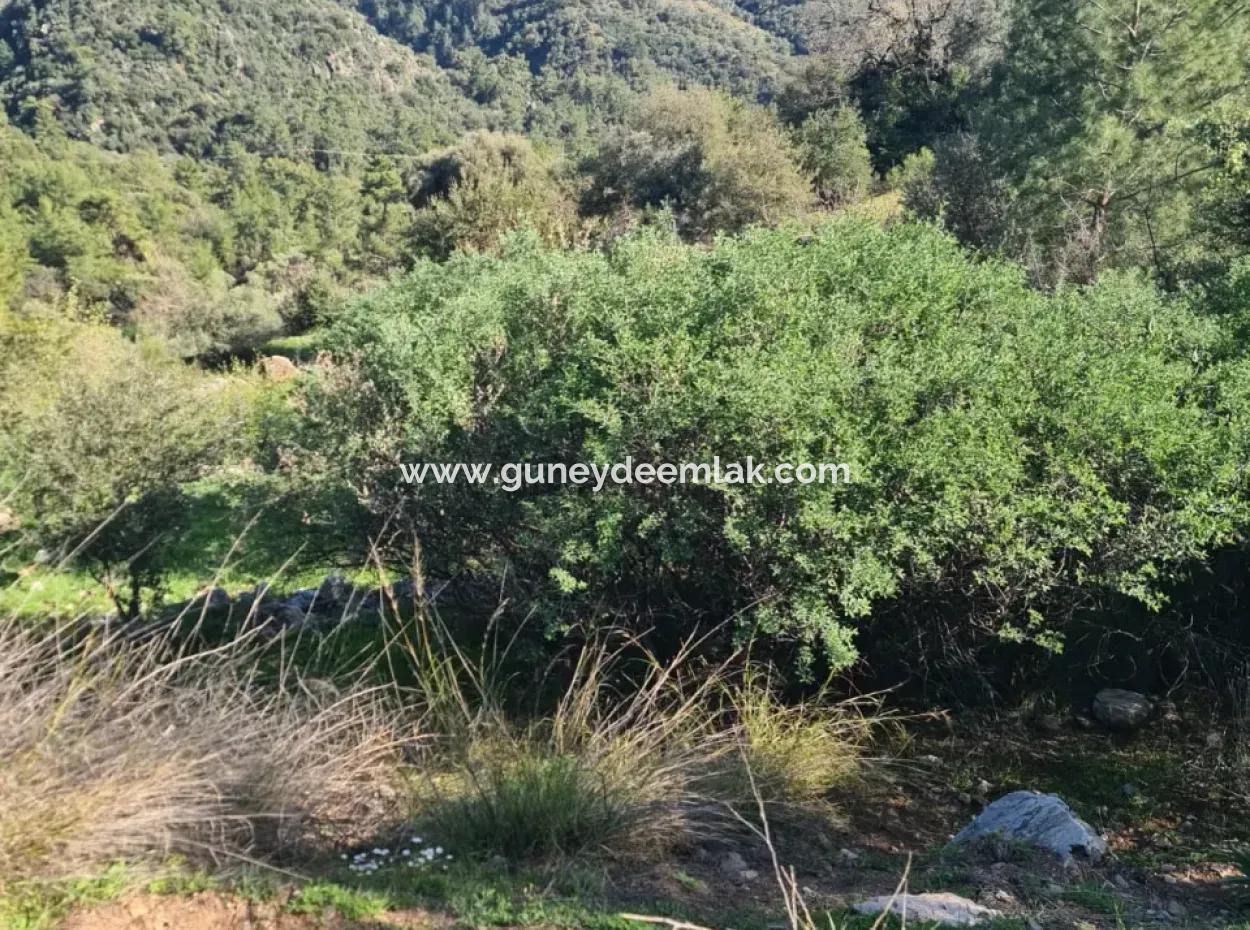 15.000 M² Detached Land With Sea View For Sale In Fethiye İnlice