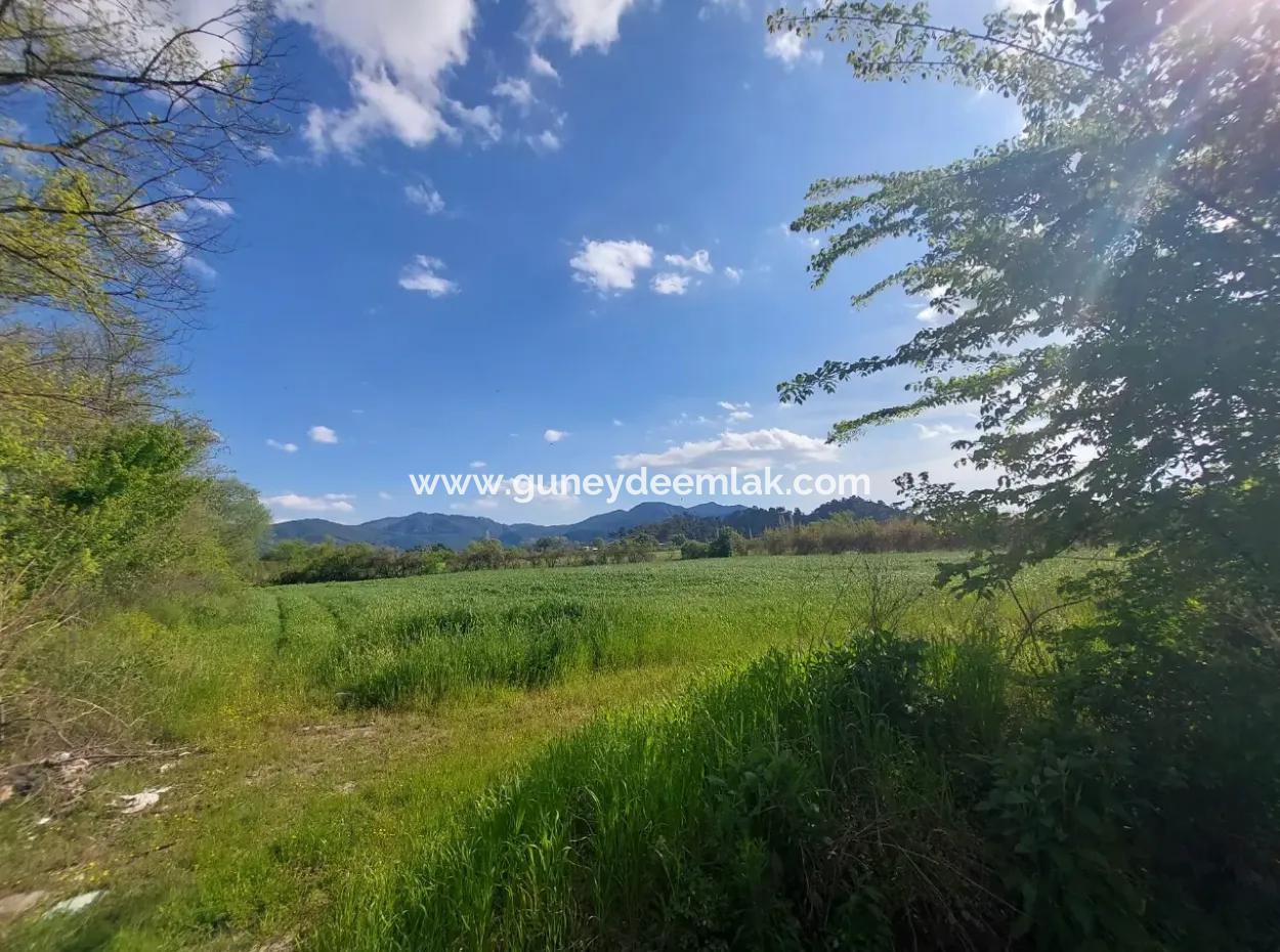 In Muğla Ortaca Eskiköy, 12.805 M2 Of Land With A Share Is For Sale.