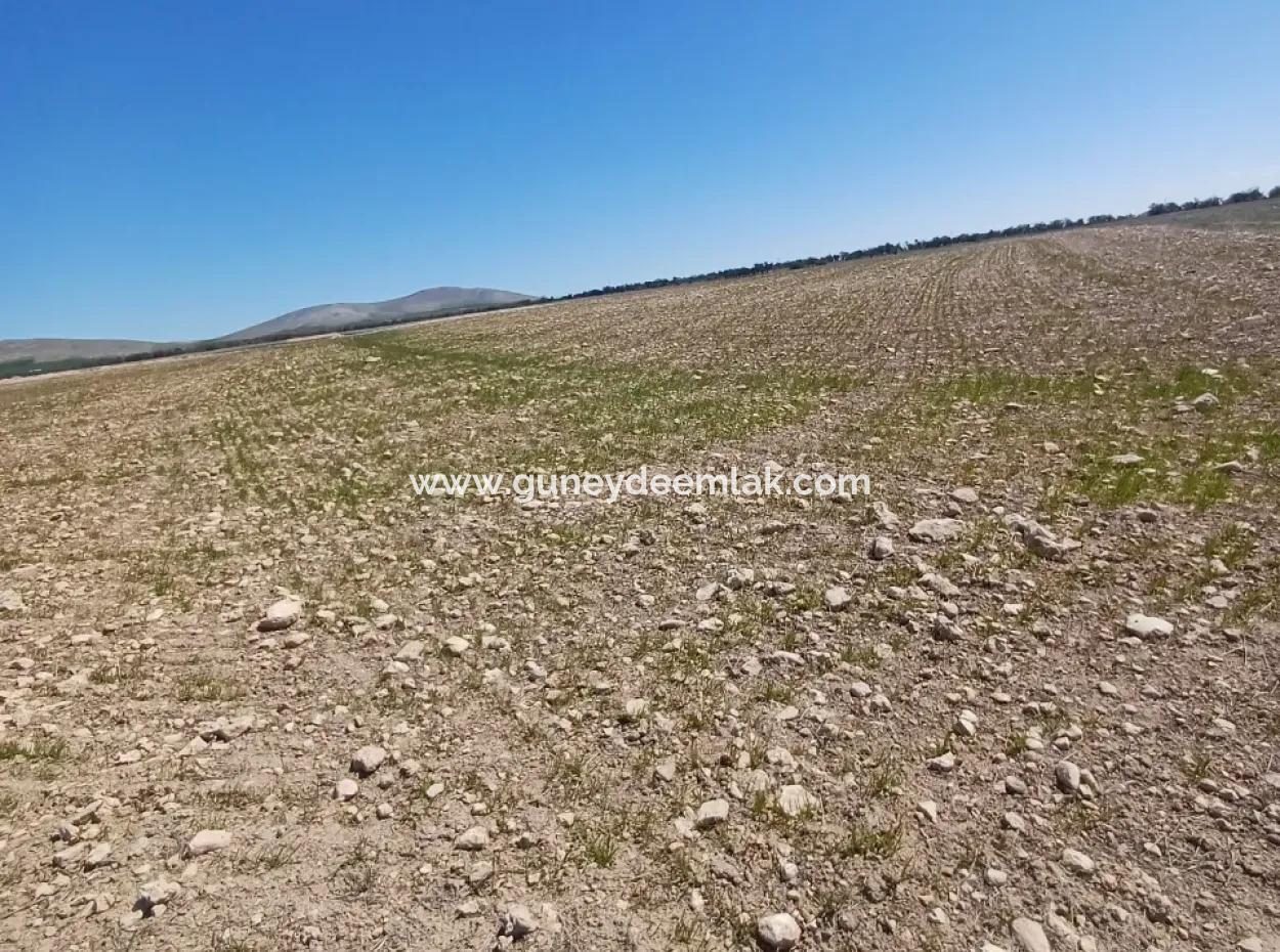 Konya Kadinhani Baskuyu 650.000 M2 Bargain Land For Sale