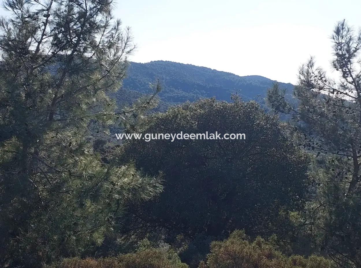 5.216 M2, 2B Land For Sale In Ortaca Gökbelde With Detached Title Deed Sea View