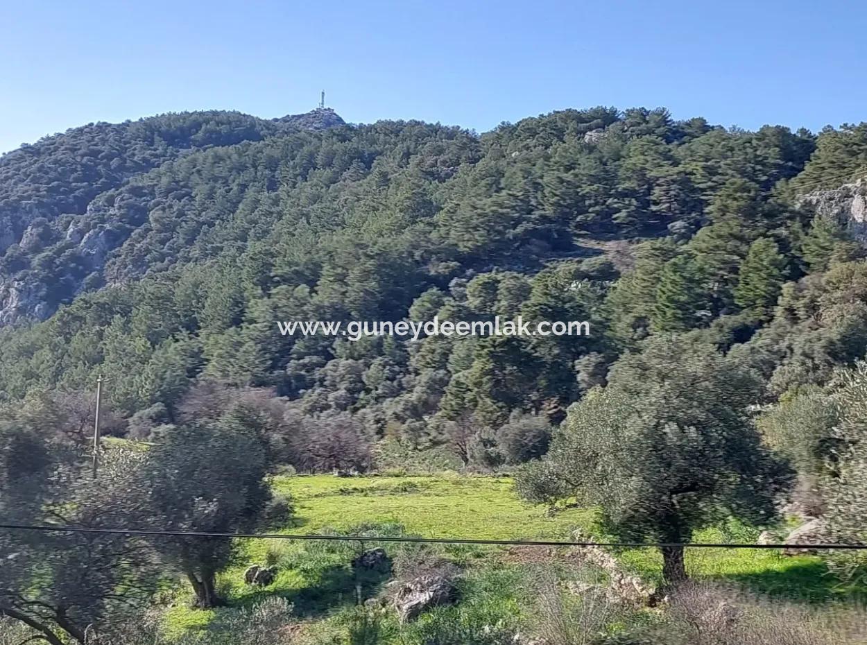 5.216 M2, 2B Land For Sale In Ortaca Gökbelde With Detached Title Deed Sea View