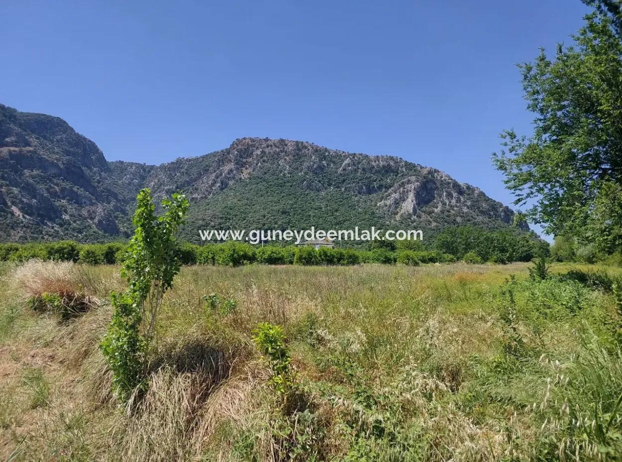 Land For Sale In Muğla Marmarlı In 5 800 M2 Zoning Plan Suitable For Investment