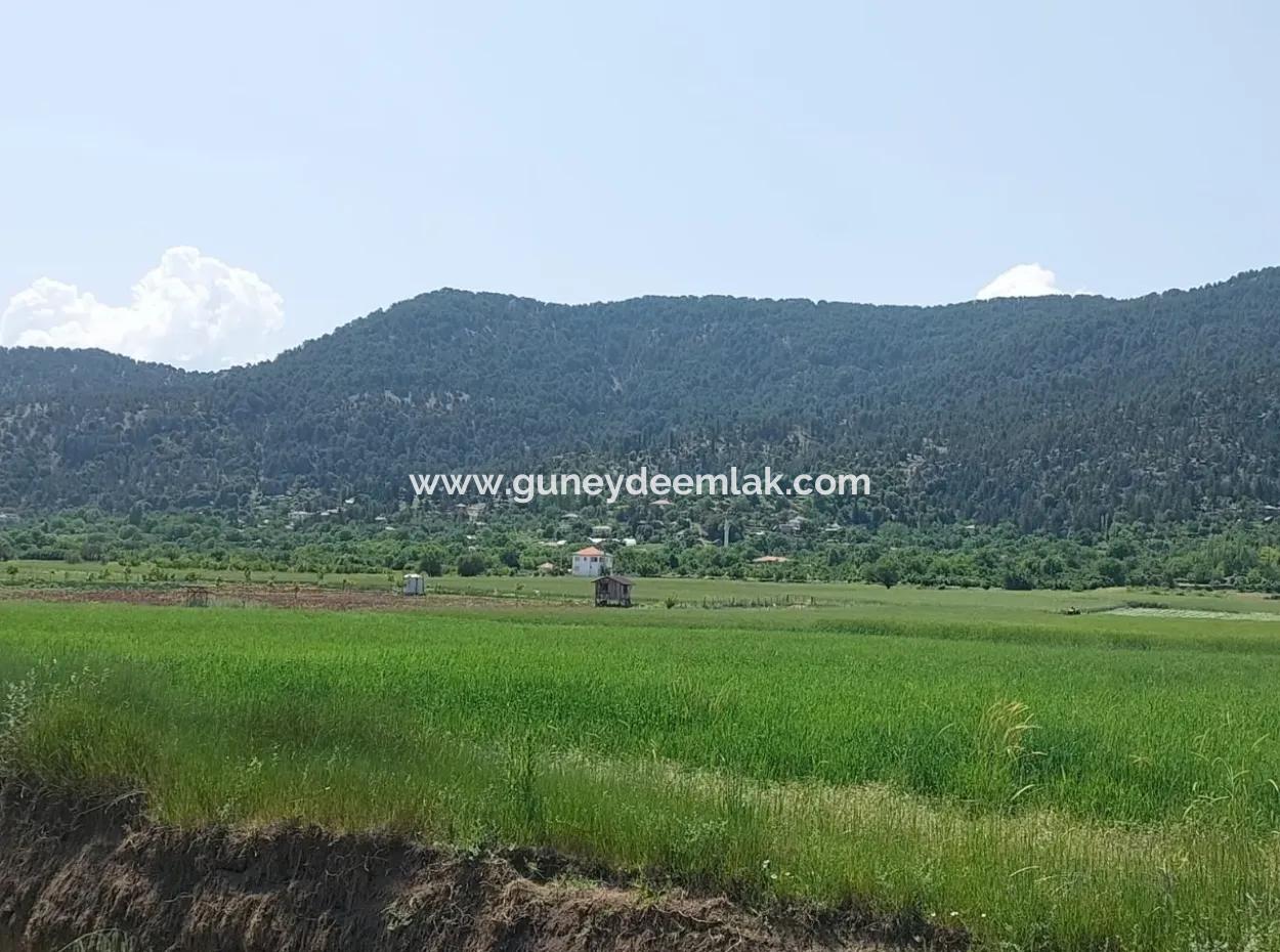 Bargain Land For Sale In Çameli Bıçakçı – 5.333 M² Detached Title Deed
