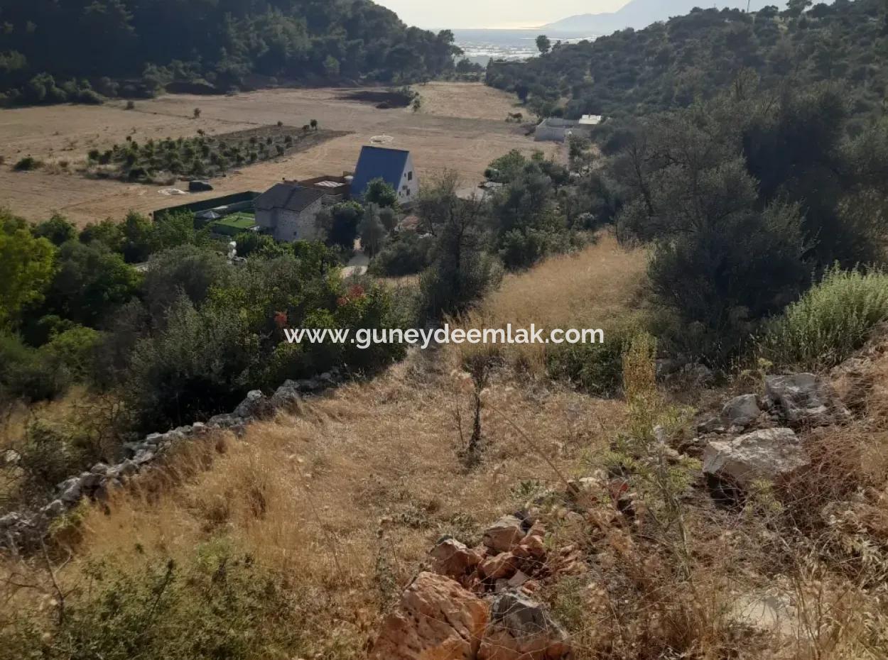 12 300 M2 Land Suitable For Investment For Sale In Antalya Kaş Kalkan Islam