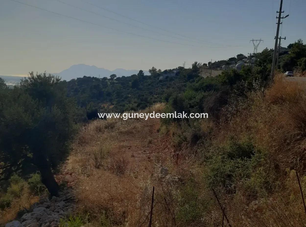 12 300 M2 Land Suitable For Investment For Sale In Antalya Kaş Kalkan Islam