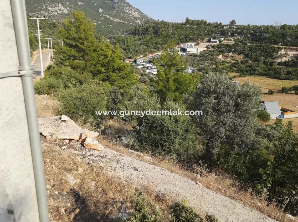 12 300 M2 Land Suitable For Investment For Sale In Antalya Kaş Kalkan Islam