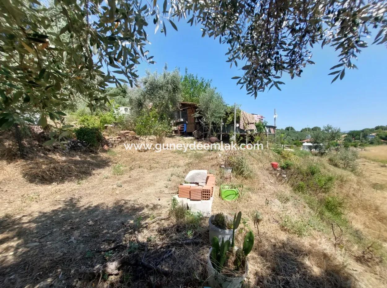 For Sale With A Numbered Building On 2.500M2 Treasury Land In Ortaca Eskiköy