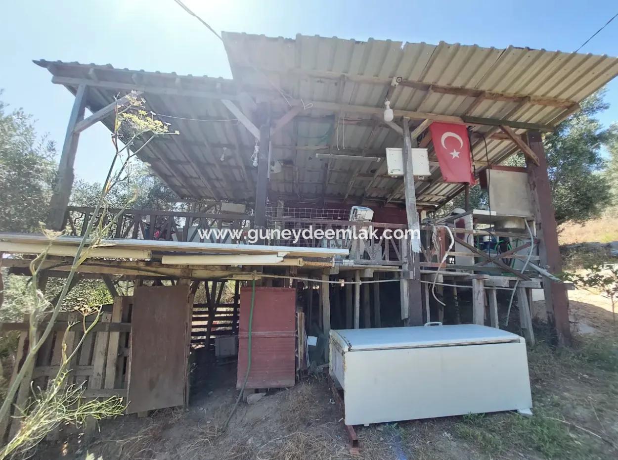 For Sale With A Numbered Building On 2.500M2 Treasury Land In Ortaca Eskiköy