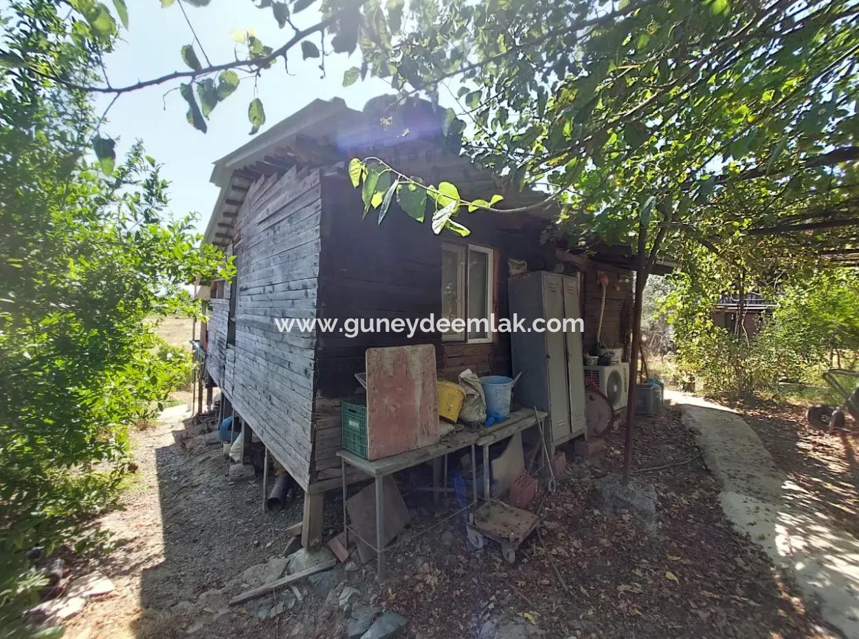 For Sale With A Numbered Building On 2.500M2 Treasury Land In Ortaca Eskiköy