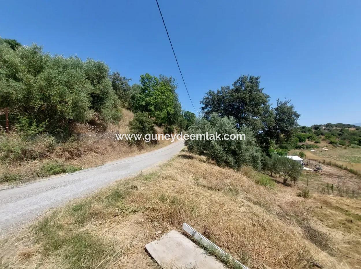 For Sale With A Numbered Building On 2.500M2 Treasury Land In Ortaca Eskiköy