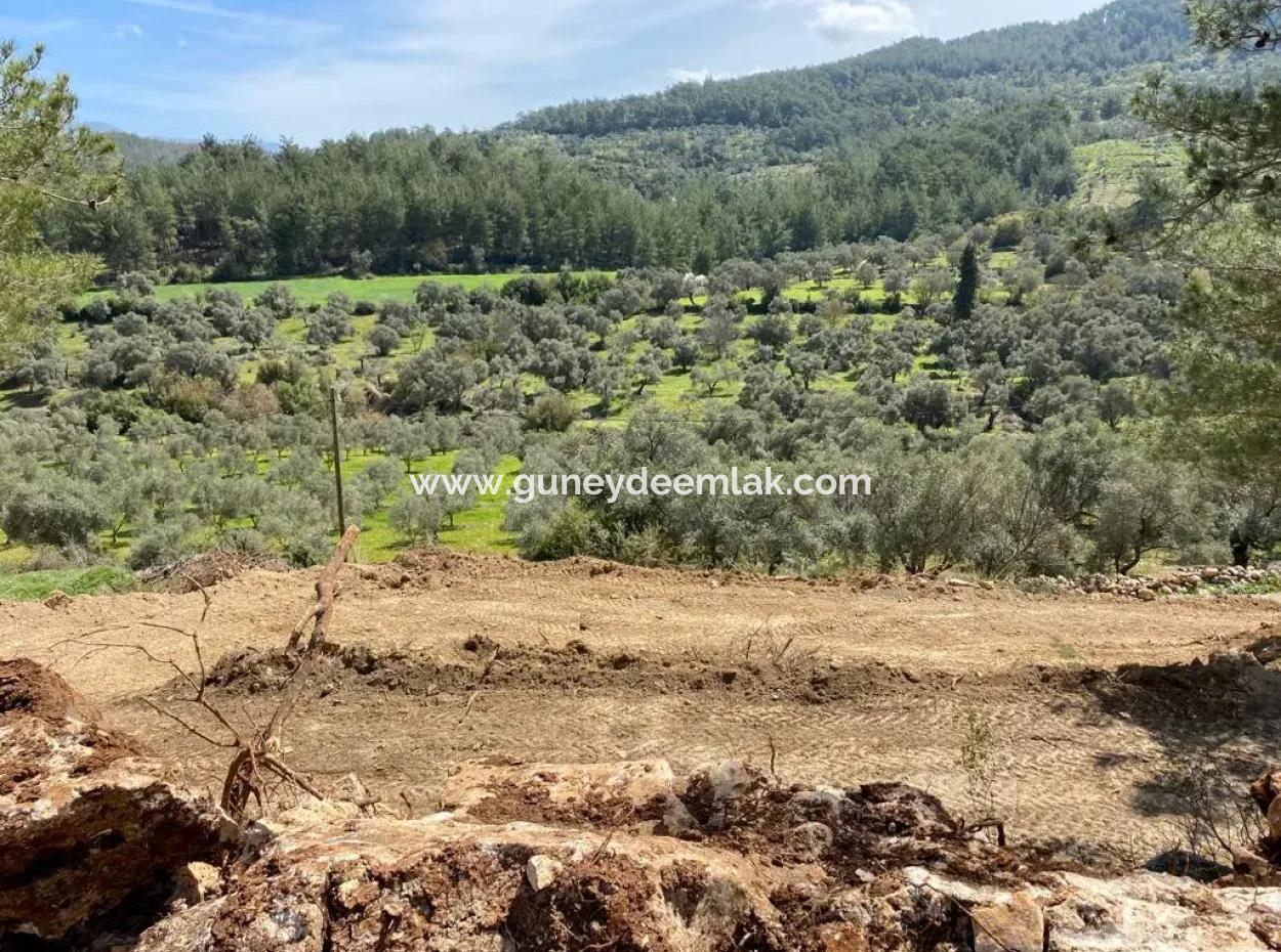 2500 M2 Flat Data Detached Land For Emergency Sale In Milas Karacahisar, Open To Offer
