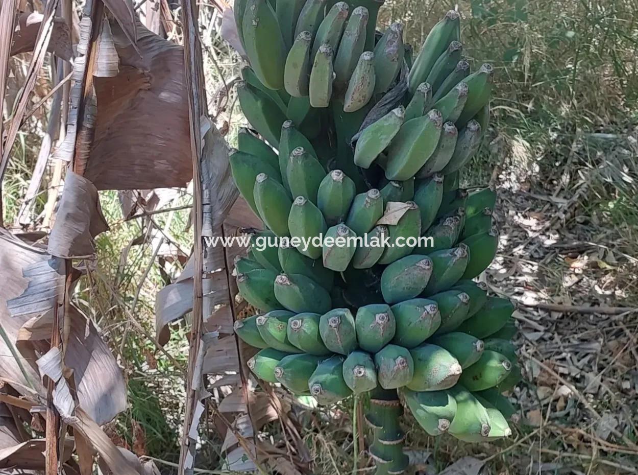 Village House For Sale In Ortaca Okçular Zoning Plan