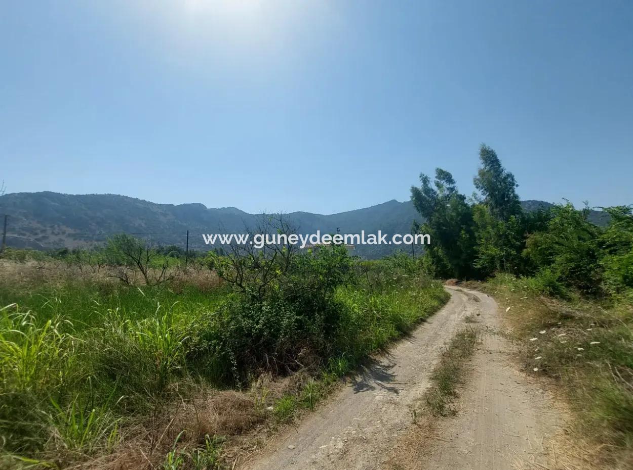 5.200 M² Lemon And Orange Garden For Rent In Dalyan, Muğla