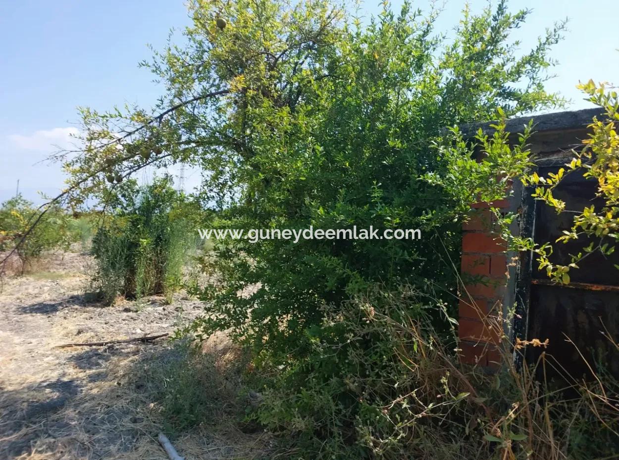 2.800 M² Land For Sale In Dalyan, Muğla, Close To Dalyan Canal