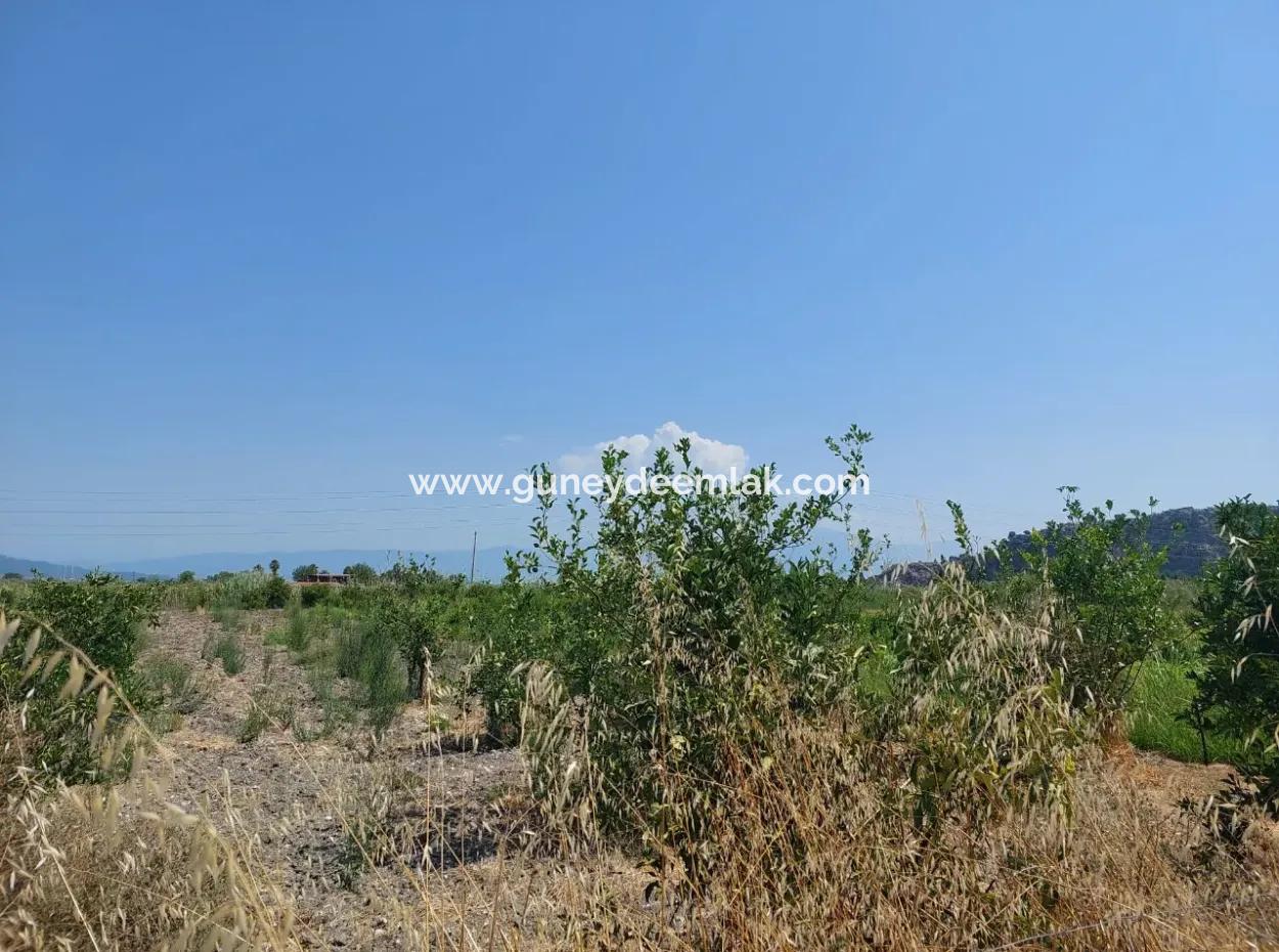 2.800 M² Land For Sale In Dalyan, Muğla, Close To Dalyan Canal
