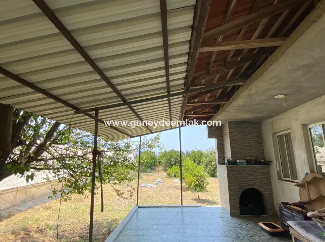Detached House And Greenhouse For Sale In 5200 M2 Field In Ortaca Eskiköy