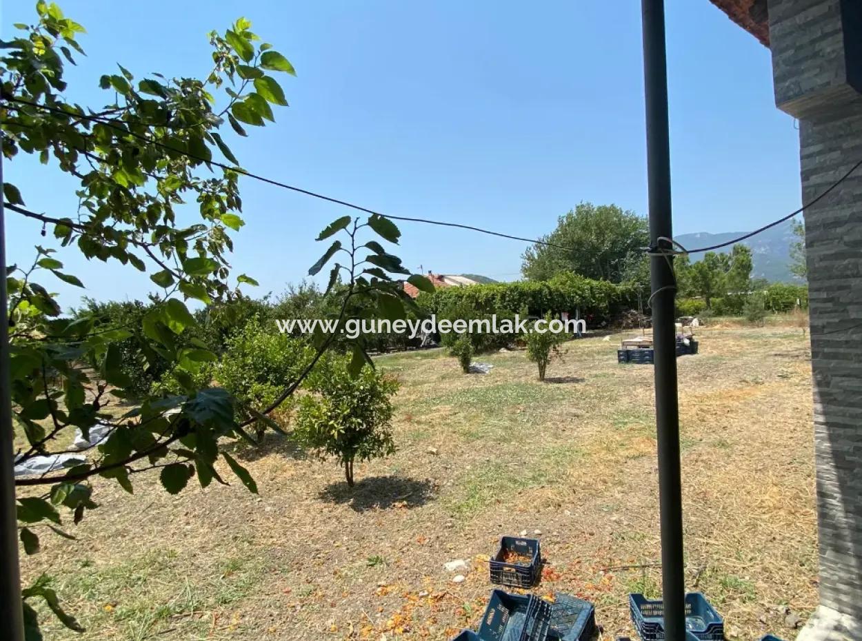 Detached House And Greenhouse For Sale In 5200 M2 Field In Ortaca Eskiköy