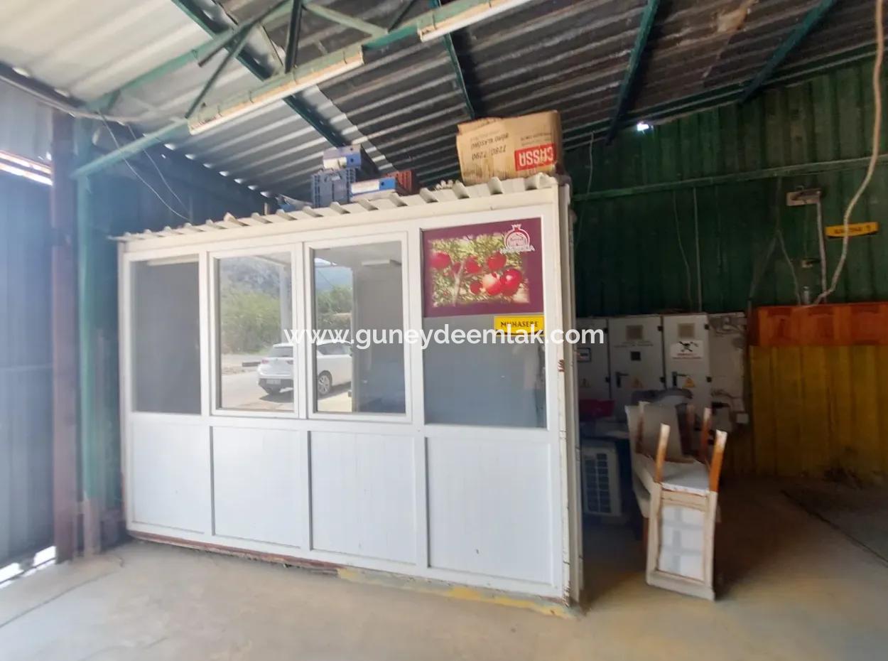 250 M² Full Use Warehouse For Rent In Dalyan, Muğla