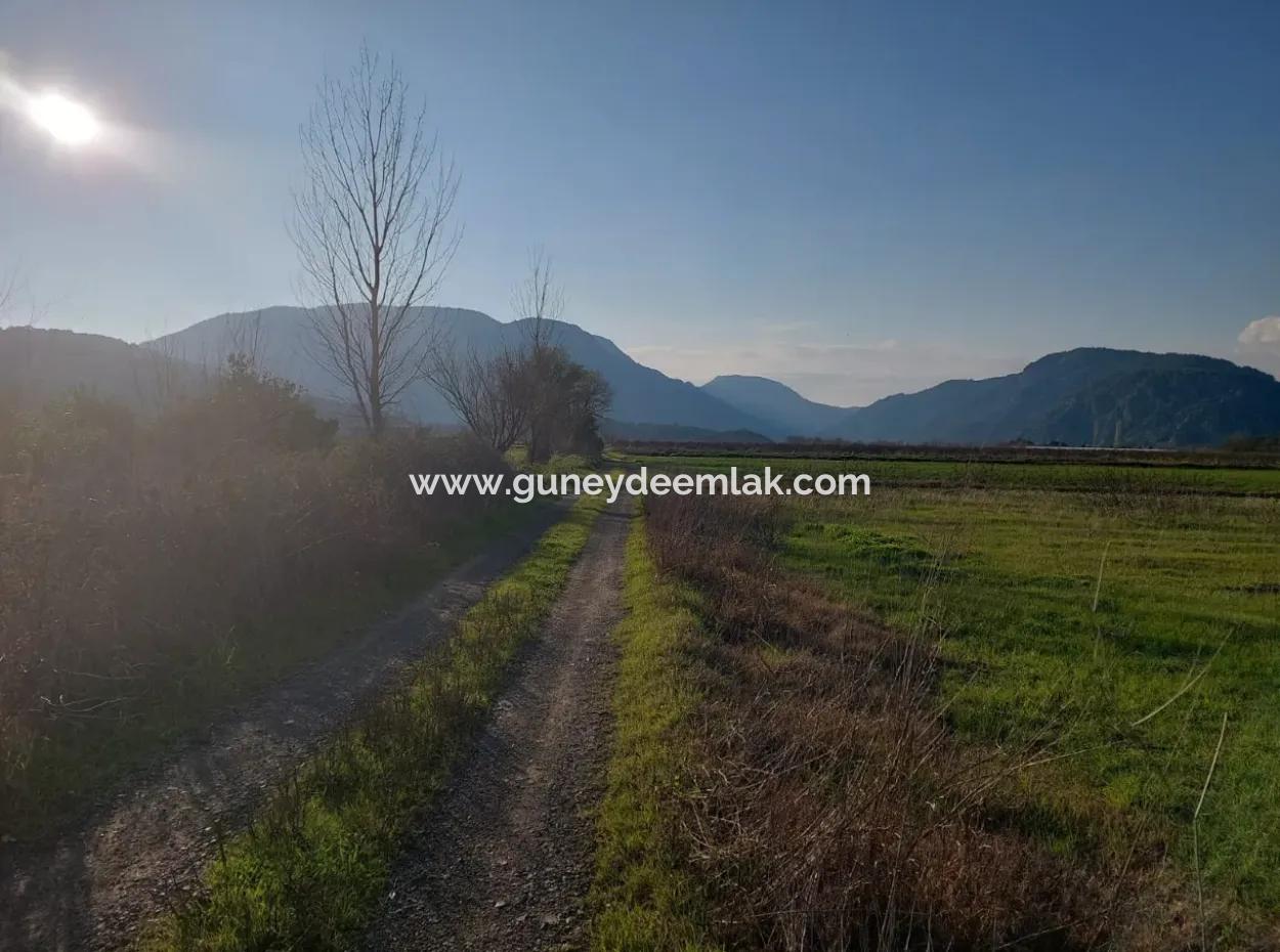 14.500 M² Fertile Land In Ortaca Güzelyurt For Long-Term Rental – Suitable For Animal Husbandry
