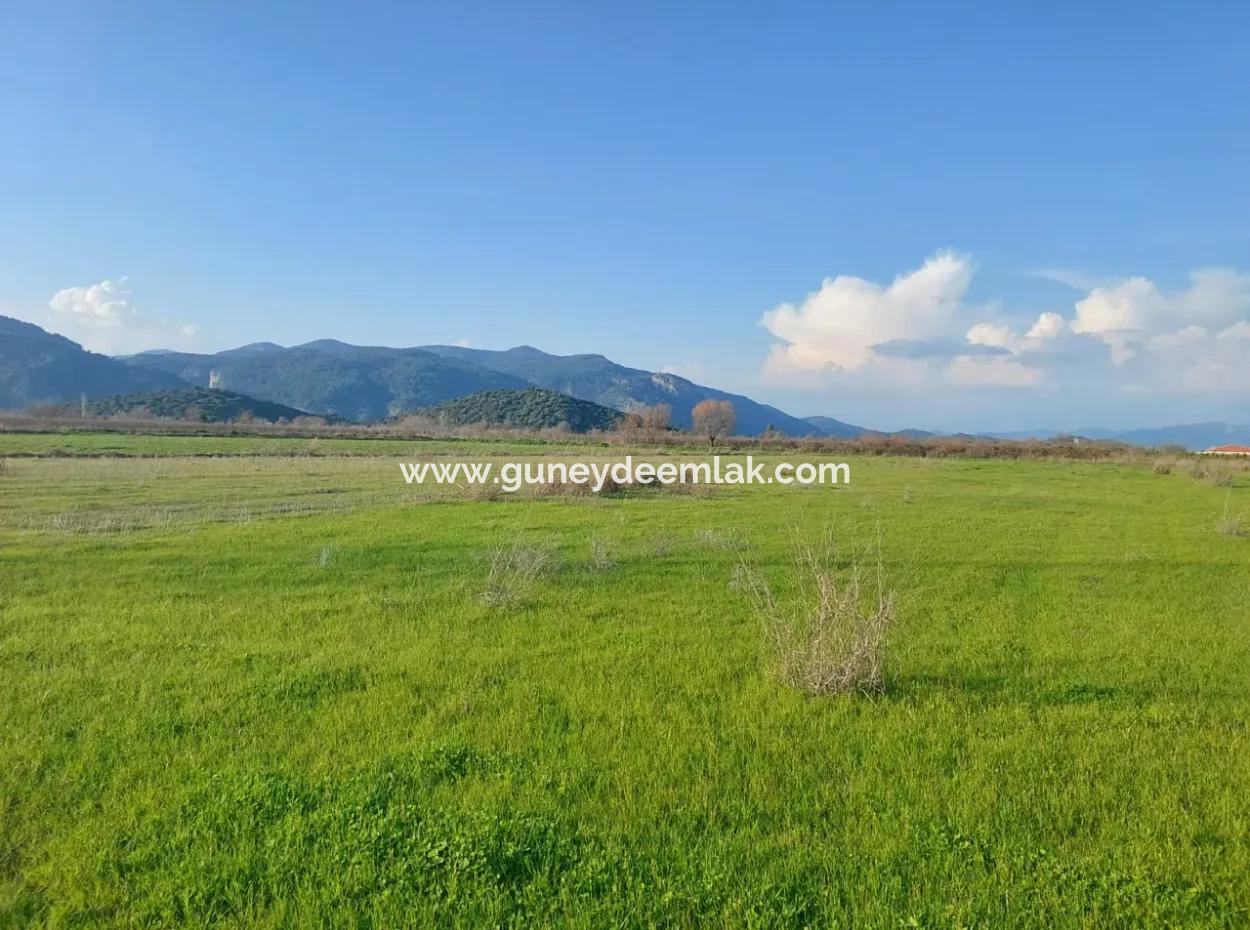 14.500 M² Fertile Land In Ortaca Güzelyurt For Long-Term Rental – Suitable For Animal Husbandry
