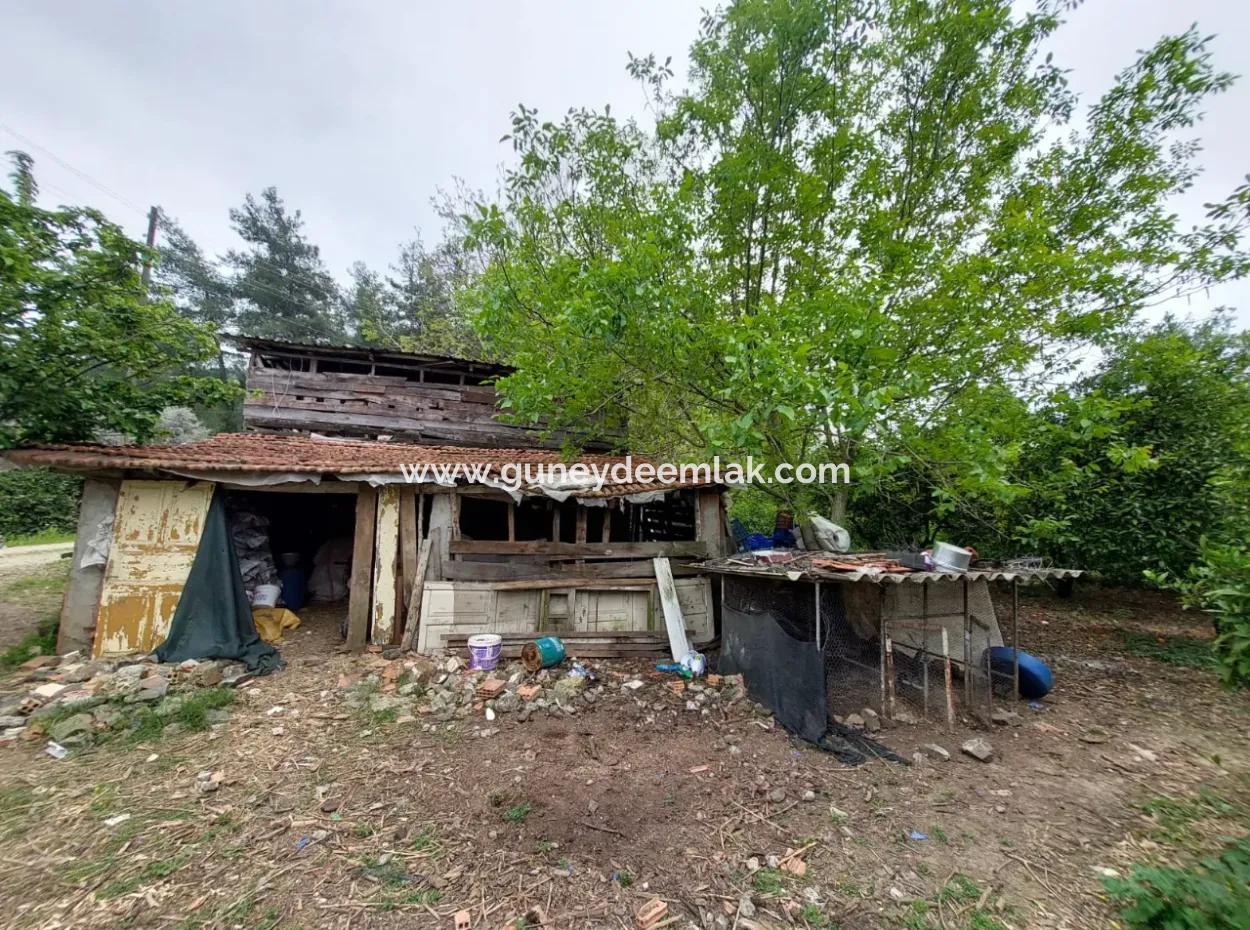 Village House And Farm For Sale On 6.650 M² Fertile Land In Muğla Köyceğiz Poplar