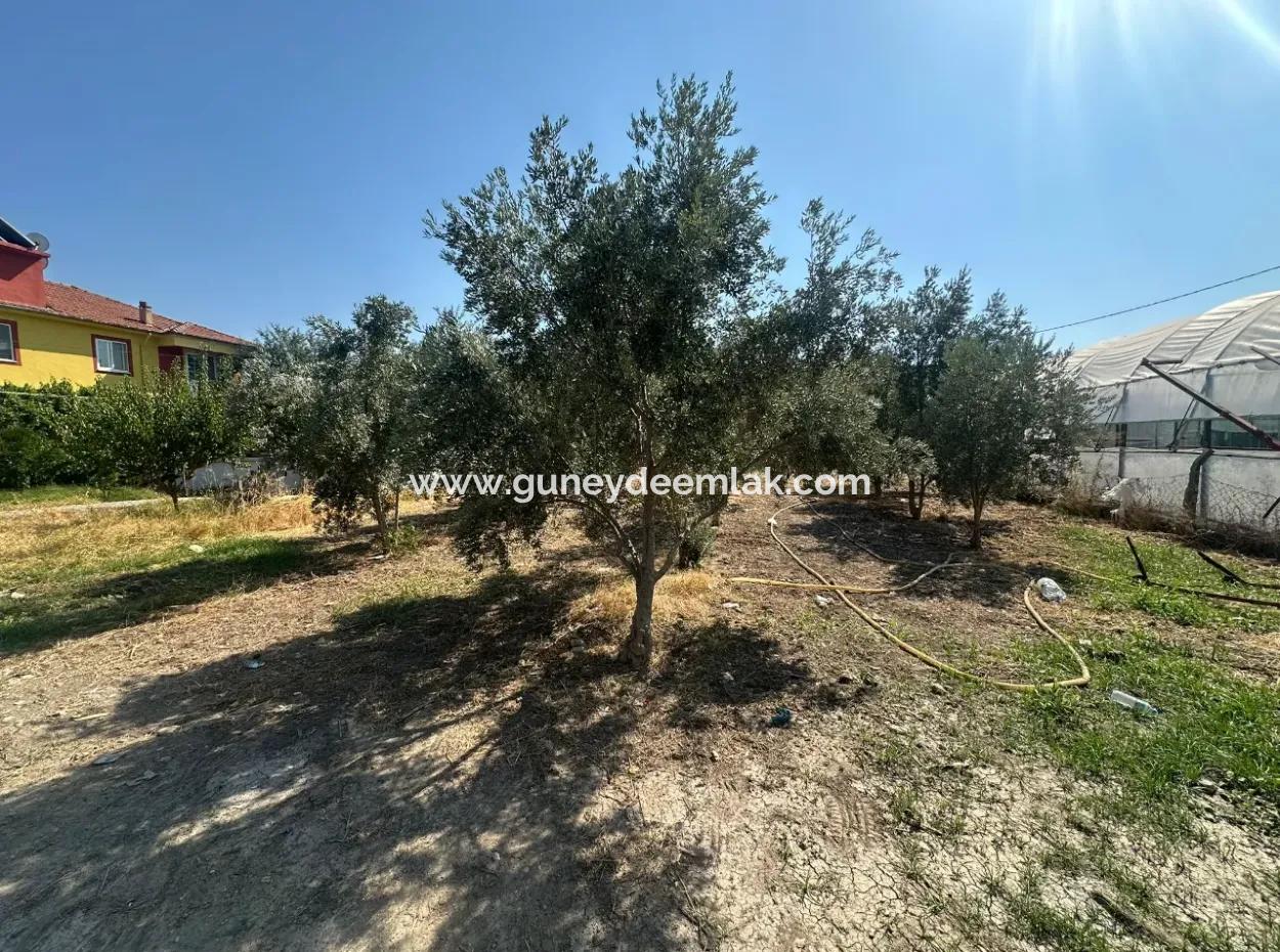 538 M2 Land For Sale In Ortaca Ekşiliyurt