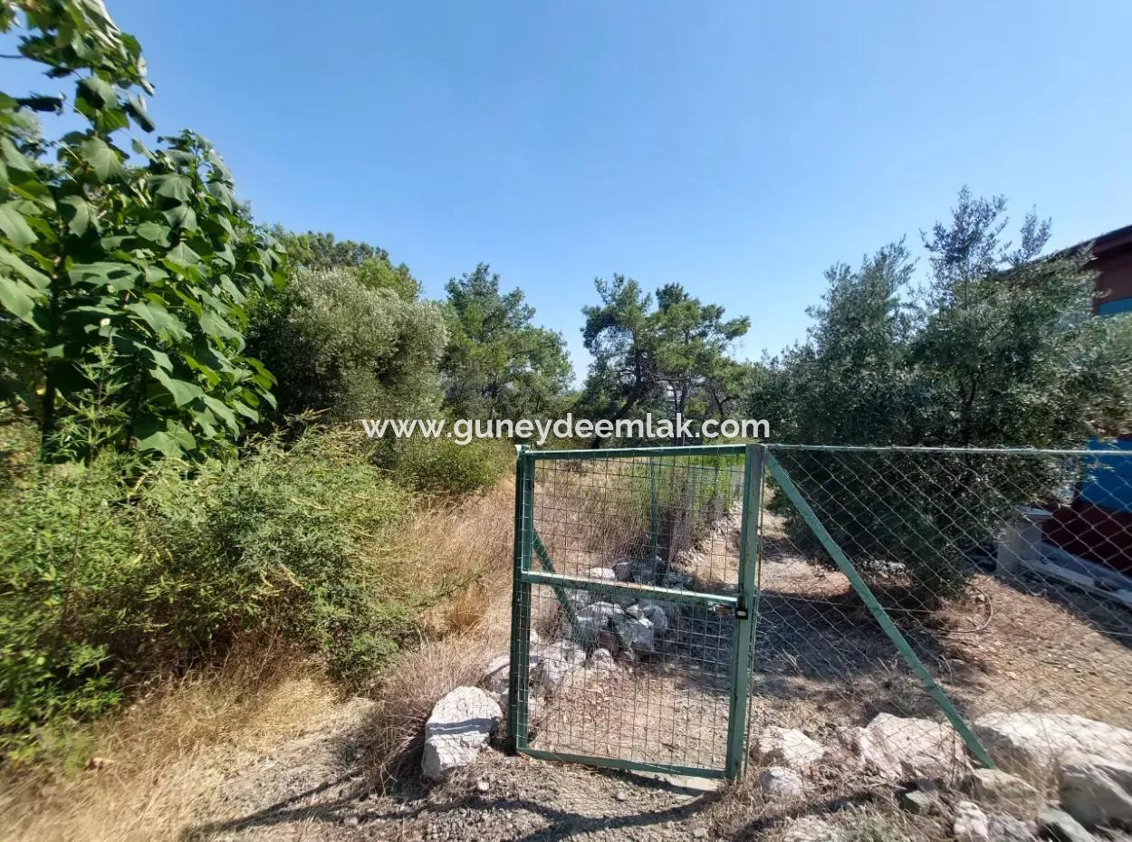 2 225 M2 2 Detached Parcels With Ortaca Sarigerme Sea View For Sale