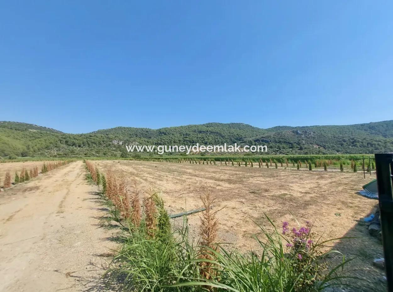 Cooperative Shares For Sale In Ortaca Güzelyurt – 270 M²
