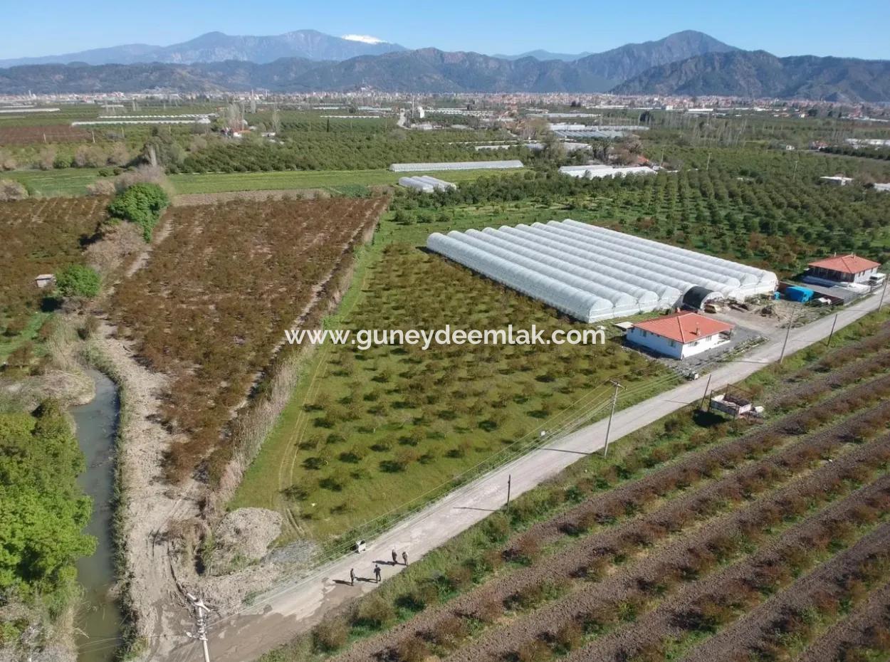 For Sale Bargain Ortaca In The Pomegranate Gardens