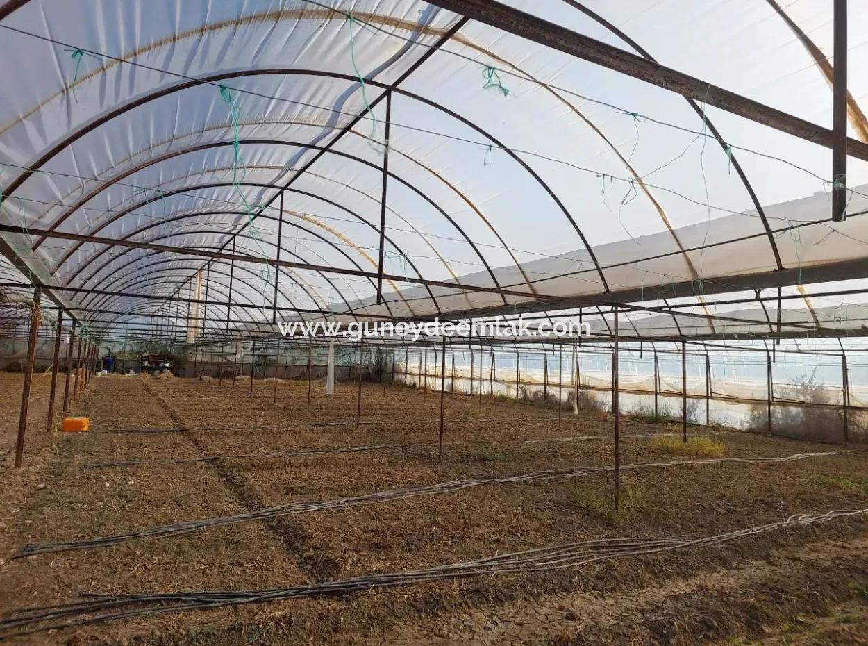 5.850 M² Lake View Land And Village House For Sale In Ortaca Eskiköy