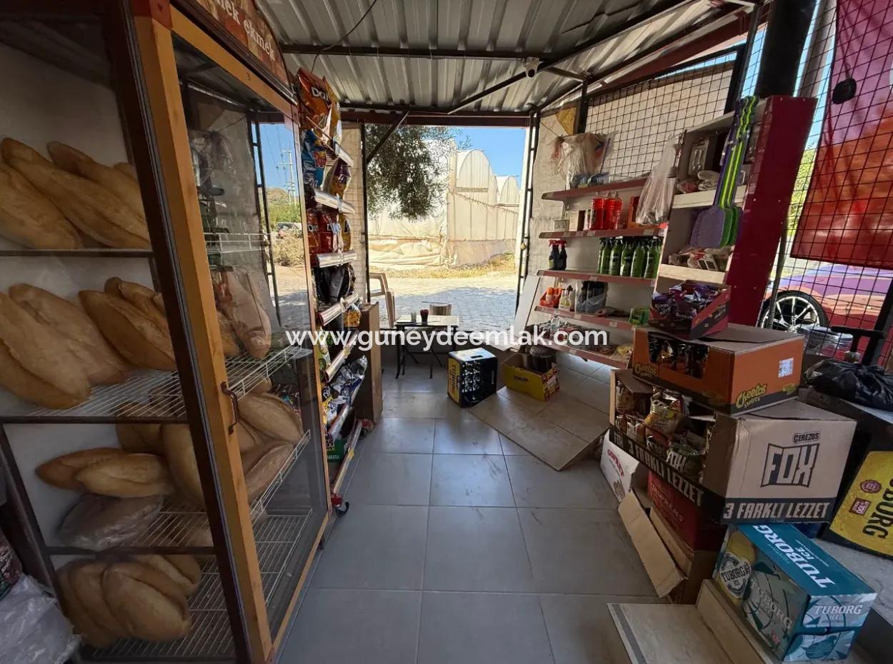 Ortacada Kiralık Kurul Düzen Market .