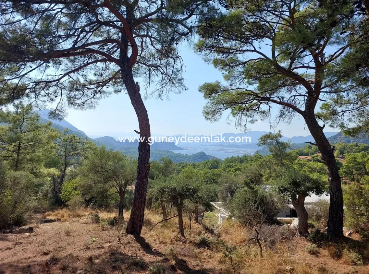 1.361 M² Investment Land With Lake And Sea View For Sale In Muğla Ortaca Gökbel