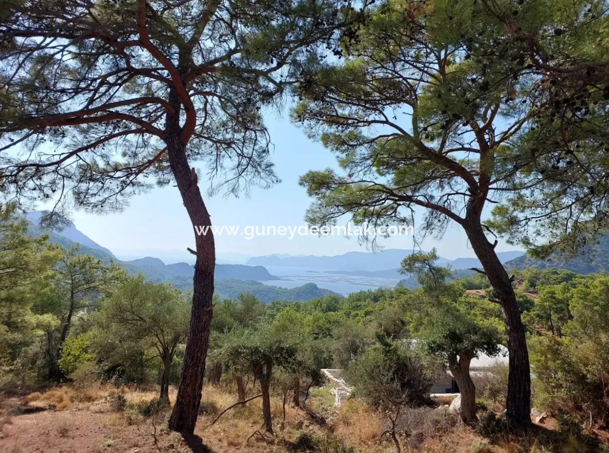1.361 M² Investment Land With Lake And Sea View For Sale In Muğla Ortaca Gökbel