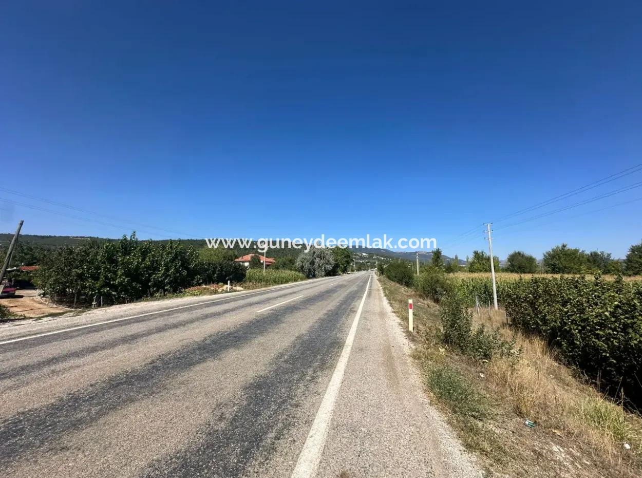 3070 M2 Walnut Orchard For Sale On The Side Of The Main Road In Denizli Çameli