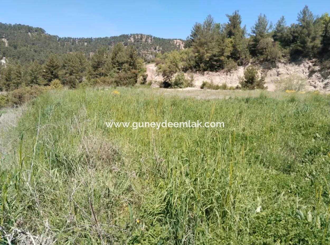 Çameli Kolakta Bargain 20 000 M2 Detached Title Deed Land Is For Sale Or Exchange.