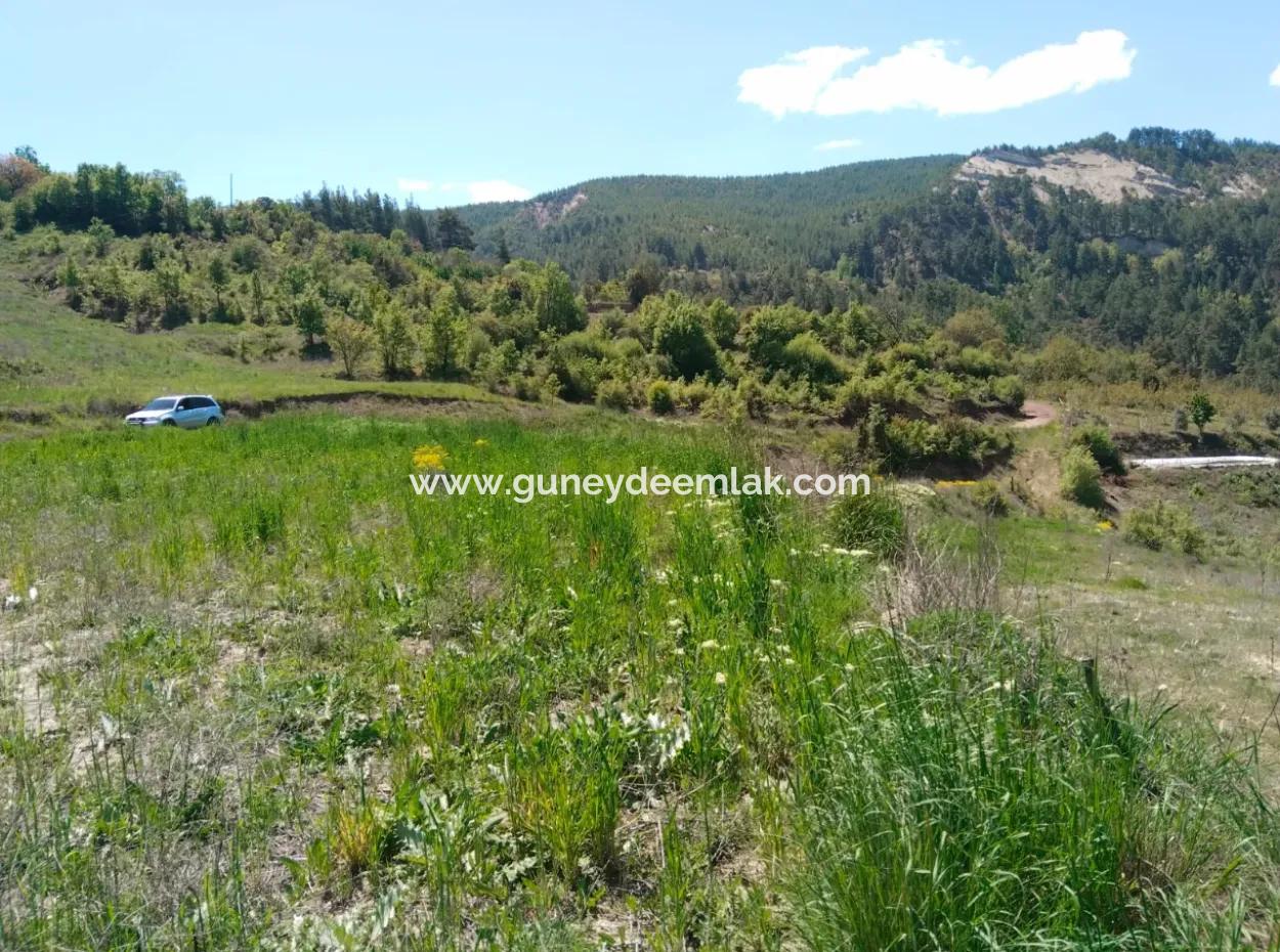 Çameli Kolakta Bargain 20 000 M2 Detached Title Deed Land Is For Sale Or Exchange.