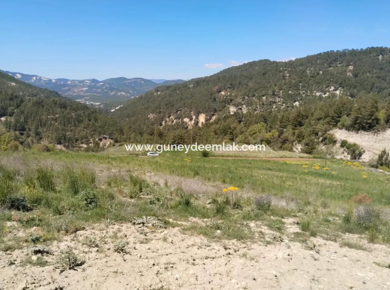 Çameli Kolakta Bargain 20 000 M2 Detached Title Deed Land Is For Sale Or Exchange.