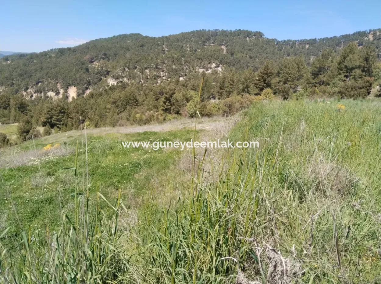 Çameli Kolakta Bargain 20 000 M2 Detached Title Deed Land Is For Sale Or Exchange.