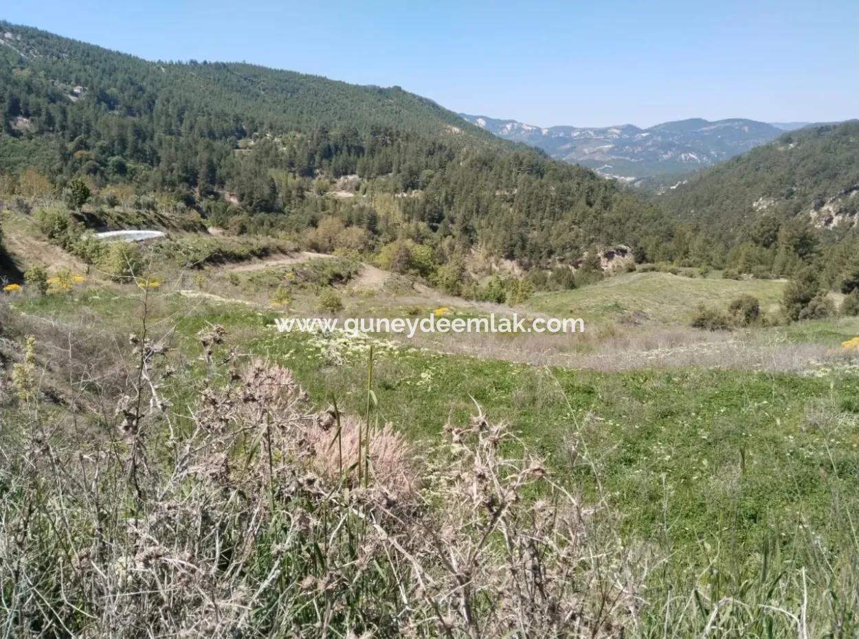 Çameli Kolakta Bargain 20 000 M2 Detached Title Deed Land Is For Sale Or Exchange.