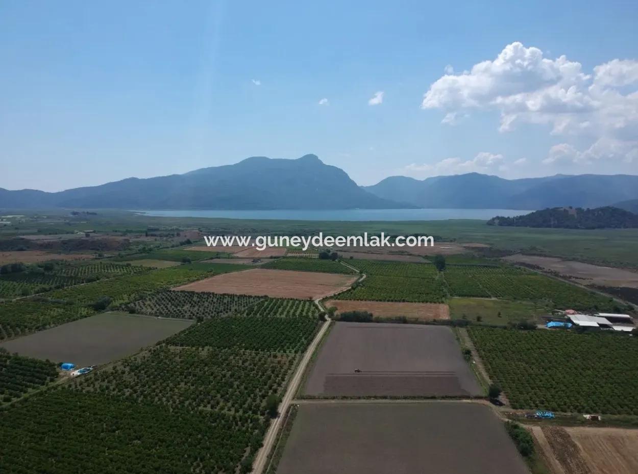 Tepearasi Oriya Bargain Between 13 700 M2 Land For Sale