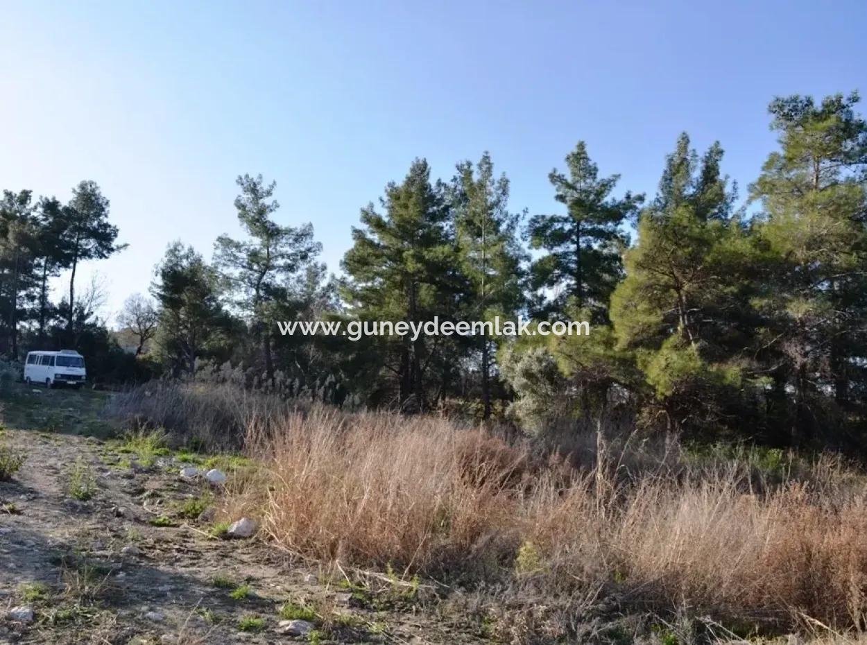 Valuable Waterfront Land For Sale In Tlos Fethiye Collar