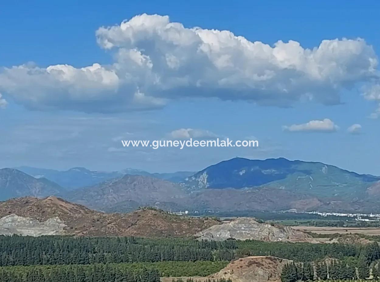Ortaca Fevziye Sea And Nature View Bargain Detached Olive Grove For Sale