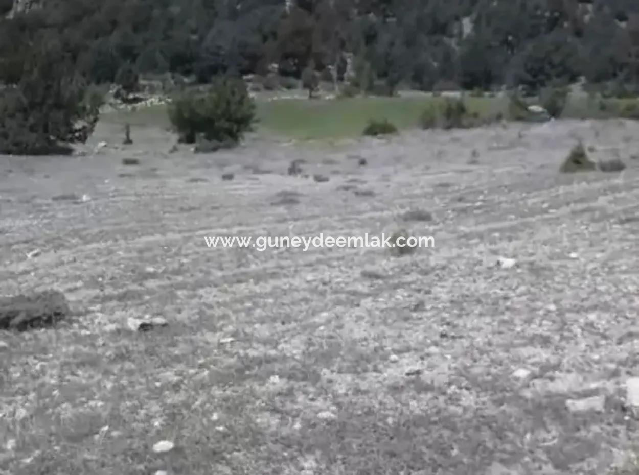 1770 M2 Field For Sale In Çameli Ayvacık