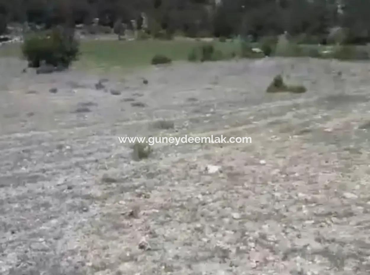 2030 M2 Field For Sale In Çameli Ayvacık
