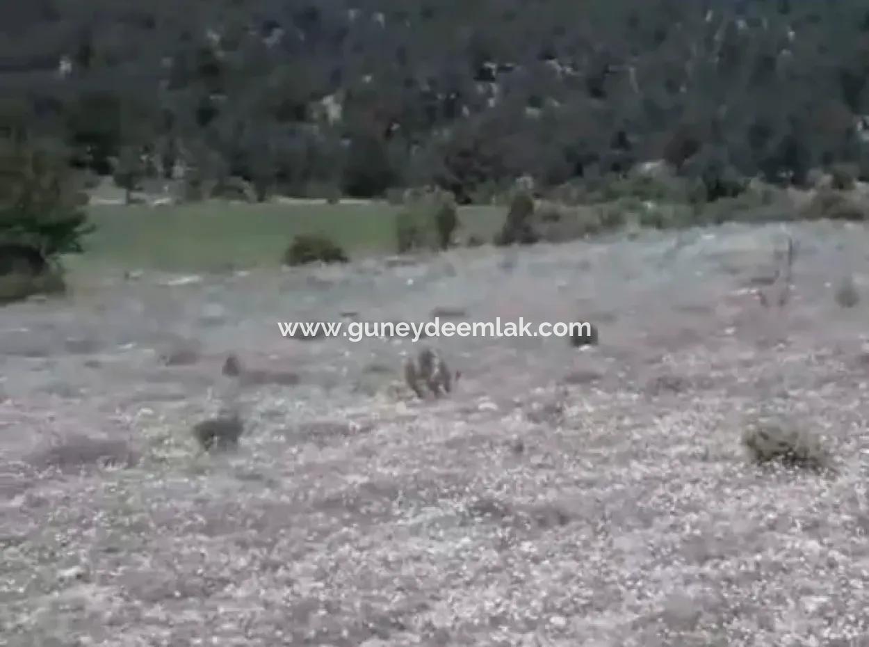 2030 M2 Field For Sale In Çameli Ayvacık