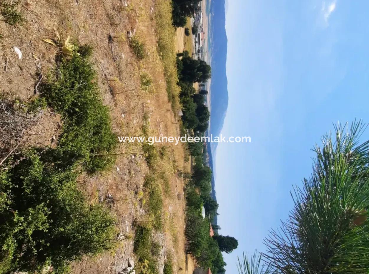 Fethiye, Nif Te, 2 100 M2, For Sale, Bargain Land